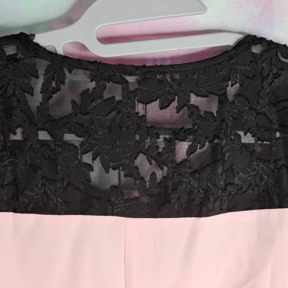 SHEIN Blush Pink & Black Contrast Eyelet Lace Flounce Sleeve Blouse Size 3XL - Picture 14 of 15